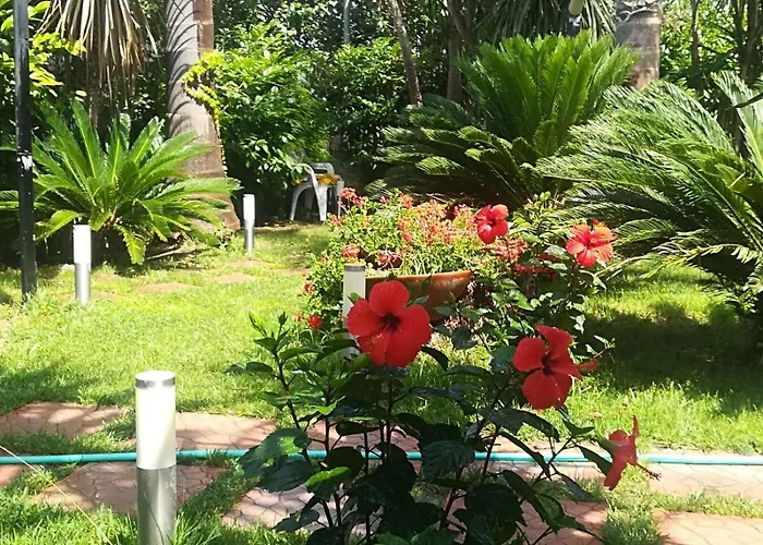 Beatrice Bed & Breakfast