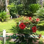 Beatrice Bed & Breakfast