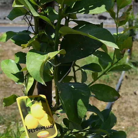 Beatrice Bed and Breakfast 4*