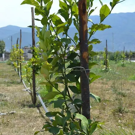 Beatrice Bed and Breakfast Πομπηία