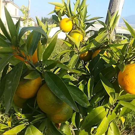 Beatrice 4* Πομπηία