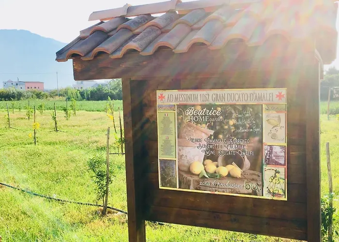 Beatrice Bed & Breakfast Pompei